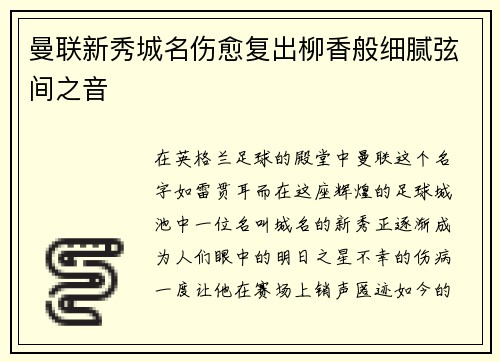曼联新秀城名伤愈复出柳香般细腻弦间之音